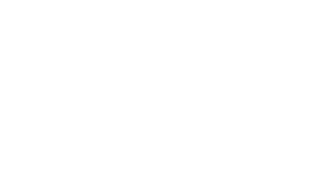 Seagull